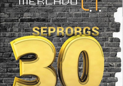 SEPRORGS - Plataforma de Negócios Digitais do RS